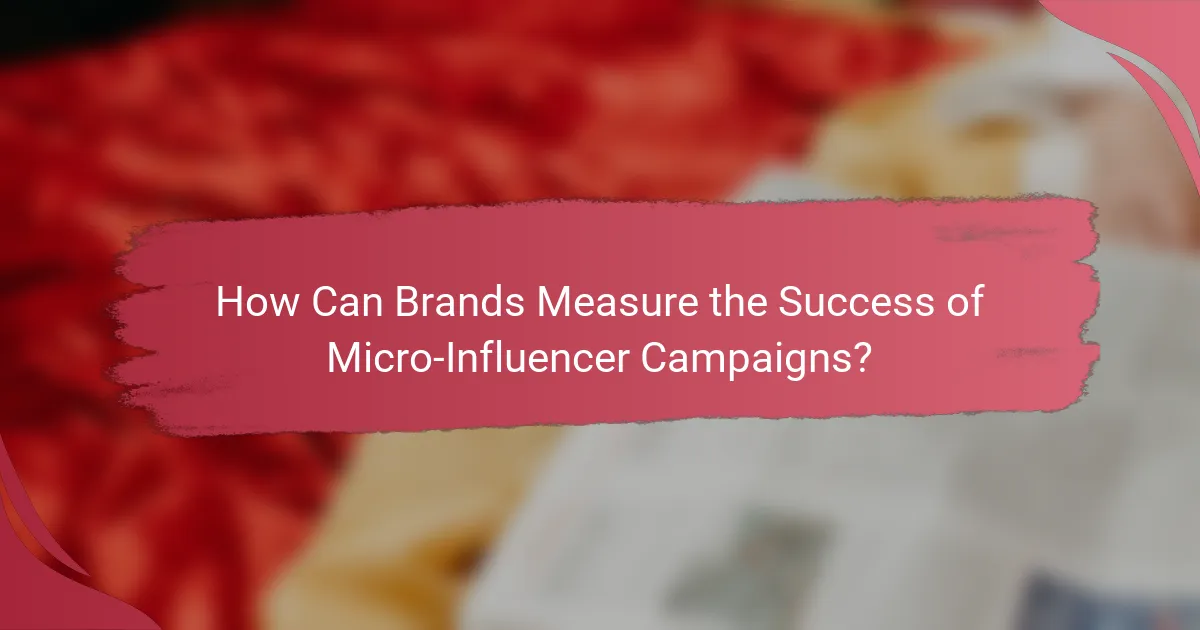 How Can Brands Measure the Success of Micro-Influencer Campaigns?