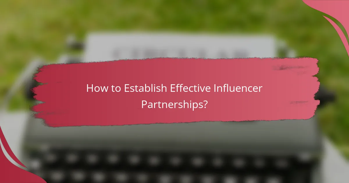 How to Establish Effective Influencer Partnerships?
