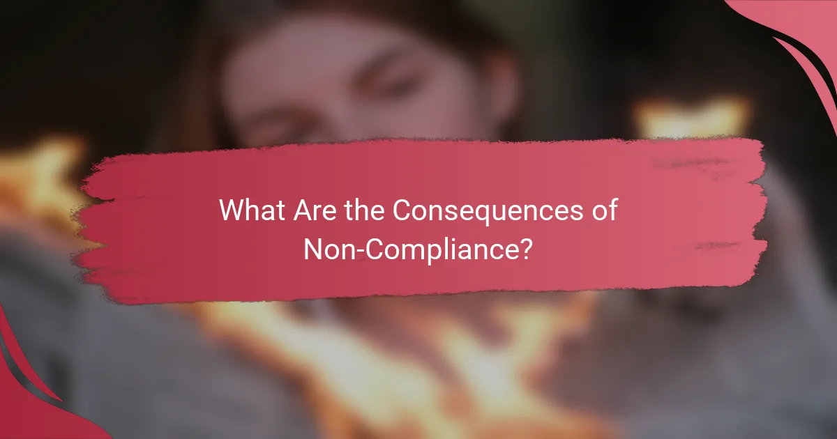 What Are the Consequences of Non-Compliance?