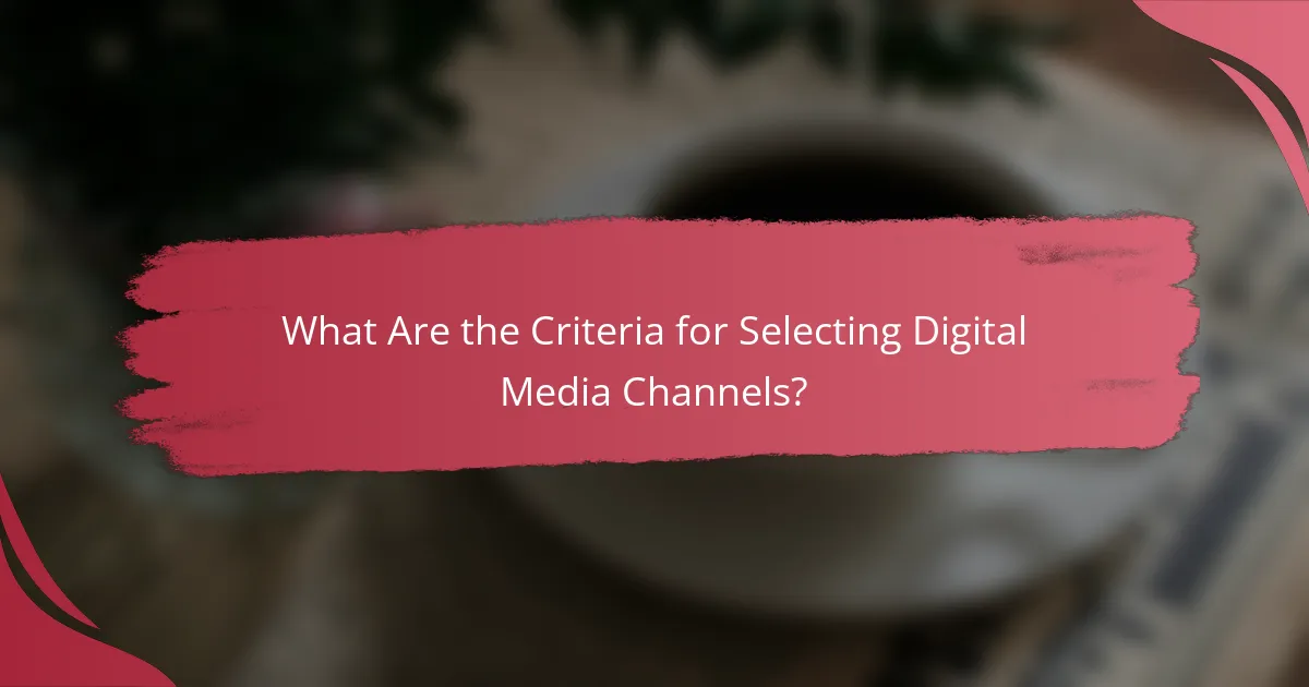 What Are the Criteria for Selecting Digital Media Channels?