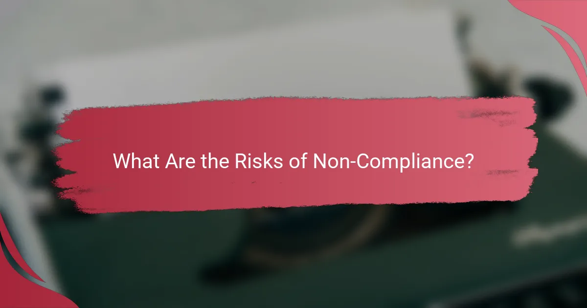 What Are the Risks of Non-Compliance?
