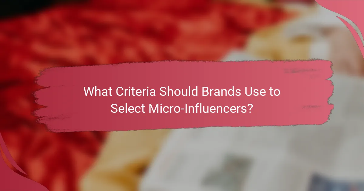 What Criteria Should Brands Use to Select Micro-Influencers?