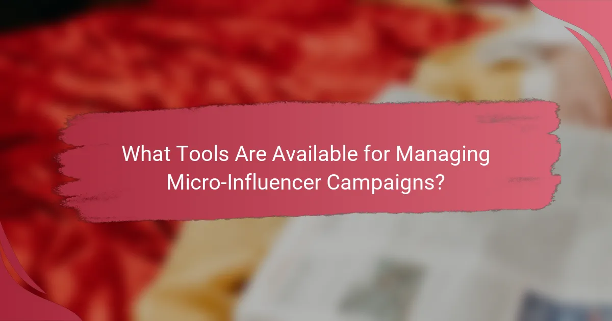What Tools Are Available for Managing Micro-Influencer Campaigns?